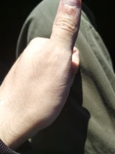 Sports-Bra Vest Back-Padded Gym Fitness Seamless Workout Push-Up Running Women Shockproof