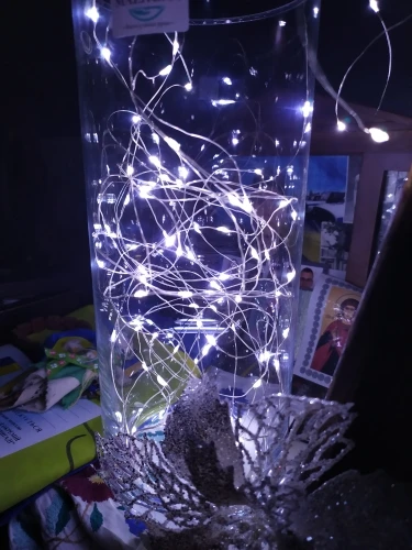 LED String Light Silver Wire photo review