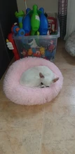 Cat-Mat Sofa Kennel Sleeping-Bag Dog-Cushion Pet-House Kitty Comfortable Round Plush
