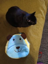 Mochila de felpa con dibujos animados para niños, morral escolar para guardería, para niños y niñas, con animales bonitos