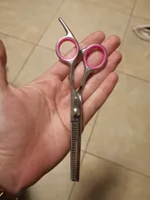 Tijeras de acero inoxidable para peluquería de perros de compañía, 6 pulgadas, curvas, con bordes afilados, para cortar el pelo de animales y gatos, para peluquero