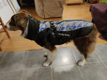 Dog Coat Harness Clothing Vest Jacket French Bulldog Waterproof Large Medium Winter Warm