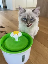 Bowl Pets-Drinker-Feeder Water-Dispenser Dog-Water-Fountain Cat Automatic USB Mute Electric