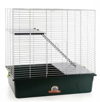 

Cage for Chinchilla- Huron RSL