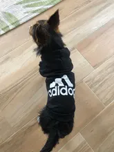 Pet Dog Clothes Fashion Hoodie Spring and Summer For Dogs Coat Jacket Cotton Ropa Perro