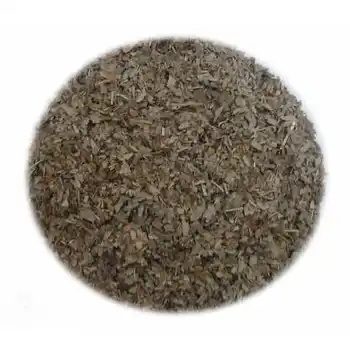 

Ginkgo biloba