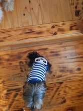 Dog Winter Sweater Pet-Dog Puppy-Cat Knitted Chihuahua for Small Clothing Ropa-Perro