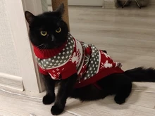 Pet Cat Reindeer Sweater Winter Warm Cat Clothes for Cats Kedi Outfit katten Clothing