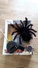 Control remoto para mascotas, simulación electrónica de tarantula, ojos brillantes, araña negra inteligente, 4 canales, broma, terrorífico, juguete para regalo