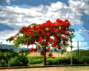 

Painting by Numbers Premium: Огненное Wood