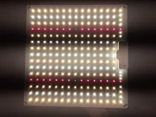 600W LED Diodes 2x3ft-Tent Grow-Light Seedling-Veg High-Ppfd Samsung Lm281b Blooming