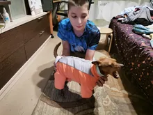 Winter Overalls for Dogs Warm Waterproof Pet Jumpsuit Trousers Male/ Female Dog Reflective