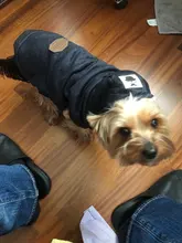 Pet-Dog-Clothes Jackets Coat Pets-Products Puppy-Cat-Clothing Pug-Outfits Small Dogs