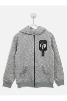 

Gray Winter Male Child Sweat