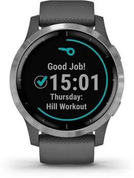 

Garmin Vivoactive 4 Gray/Silver