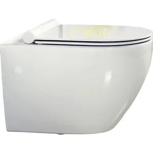 

Toilet suspension belbagno Sfera-R rim-free (bb513ch)