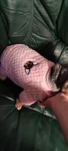 Coat Outfit Pets-Clothing Small Dogs Warm Chihuahua Winter Yorkshire Puppy Schnauzer