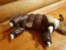 Winter Pet Dog Coat Jacket Thicken Warm Clothes For Dogs Waterproof Reflective Puppy