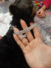 Collar ostentoso de perro de cristales para cachorro, Collar brillante con diamantes de imitación para mascotas, suministros de Perros pequeños S/M/L