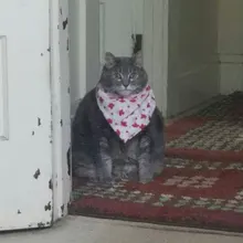 Suéter de moda Harajuku para hombre, ropa informal estilo Hip Hop, jersey de dibujos animados de dinosaurios, cuello redondo, suéteres de pareja informales de gran tamaño