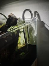 AQUARIUM-FILTER Lily-Pipe Surface-Skimmer Inflow Stainless-Steel NICREW with And 