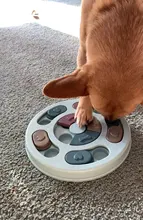 Feeder Toys Dispensing Puppy Pet-Puzzle Pet-Dog Training-Games Slow Interactive Small