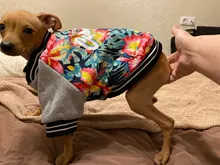 Jacket Costume Coat Bulldog-Clothes Small Dog Pug French Winter Pet-Dog Warm Cute 