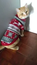 Cute Cat Sweater Pullover Winter Warm Pet Clothes for Cats Kedi Kitten Sweatshirt Cat