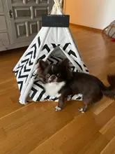Cat Bed House Teepee Cushion Pet-Tent Puppy Available Outdoor Portable For Dog with Thick