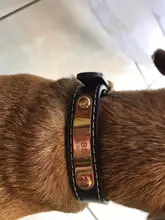 Pawstrip grabado Collar de perros de piel sintética Etiqueta de mascota Collar para perros Bulldog francés Pitbull, perro grande Collar de cachorro.