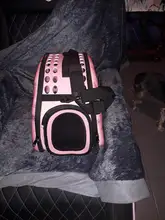 Jaula plegable para mascotas, cajón plegable, bolso de transporte de plástico, suministros para mascotas, caja de transporte para gatos