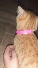 Collar repelente de mosquitos para gatos, ajustable, con pulga y garrapata efectiva, repelente de mosquitos e insectos, suministros para mascotas