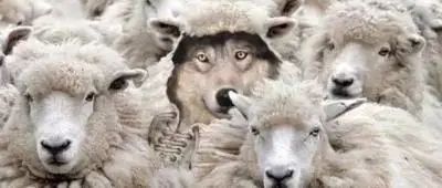 安息日会异端的真相，看看这群的信息就清楚了！