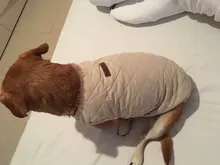 Dog Winter Bulldog-Coat Chihuahu Small French Outfit Puppy Medium Warm 