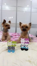 Socks Dog-Shoes Paw-Protector Chihuahua-Boots Puppy Small Dogs Winter Anti-Slip for Indoor-Wear