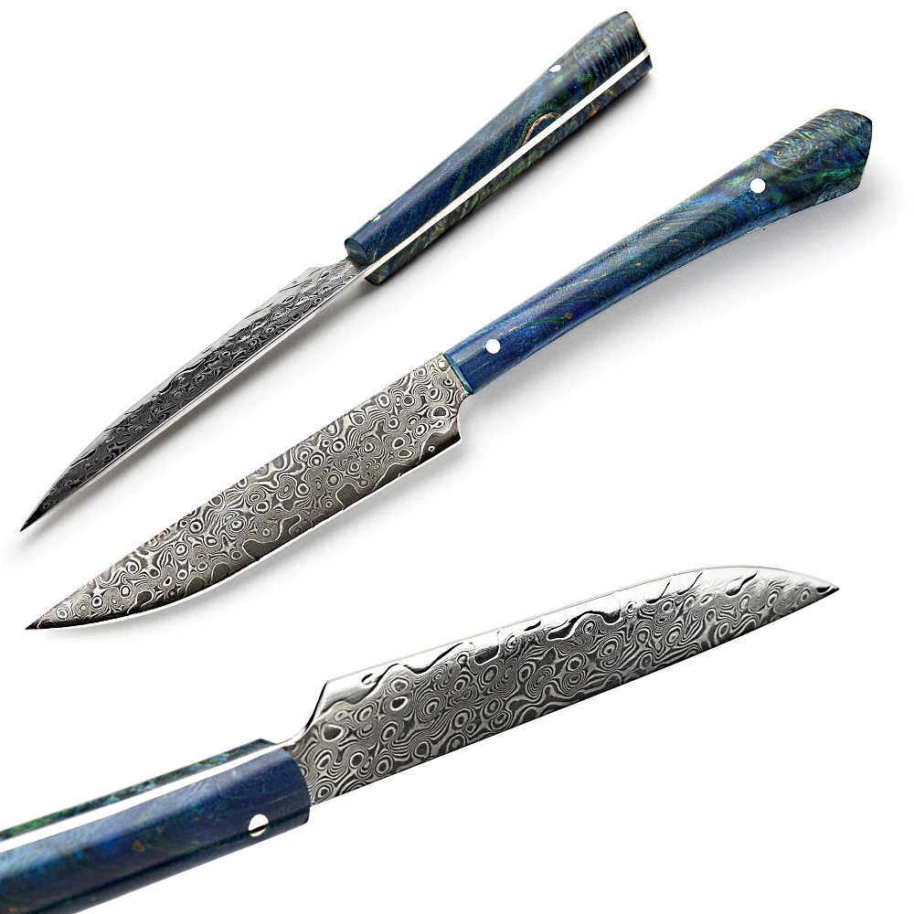 https://ae01.alicdn.com/kf/U0560e6196d474b9988bafba311649ddaL/4-piece-Damascus-Steak-Knife-Set-vg10-Japanese-Damascus-Kitchen-Knives-Chef-s-Professional-Cooking-Tool.jpg