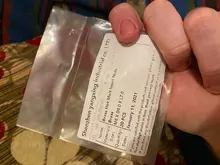 Tuercas de fusión en caliente de latón, moldeado por calor, rosca de cobre, insertos de tuerca tipo SL, tuerca de latón de inyección moleteada de sarga doble, M5M6 20 piezas