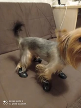 Zapatos antideslizantes para mascota de perro de lluvia, botas de goma impermeables para chihuahua, calzado para exteriores, calcetines para perro