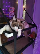 Bearing Hammock Cat Balcony Climbing Waterproof Sleeping-Mattress Cat-Bed-Cat Pet Fabric