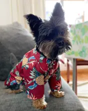 Camisetas de verano para perros, ropa de playa, chaleco para mascotas, camiseta Floral, Hawaiana para gatos pequeños y grandes, Chihuahua