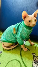 Suéteres de Gato caliente, ropa clásica de moda, ropa para perro y gato para gatos pequeños, traje de Chihuahua, abrigo de disfraz de gato de invierno