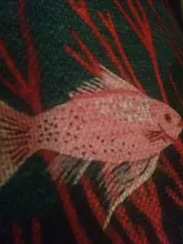 Cushion-Cover Pillow-Case Kissen Linen Print Home-Bed Cartoon Decoration Cat Portrait