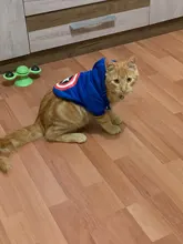 Ropa con estampado de dibujos animados para perro, abrigo cálido para invierno, chaqueta para perros pequeños, Chihuahua, Bulldog Francés, disfraz de peluche, ropa para mascotas