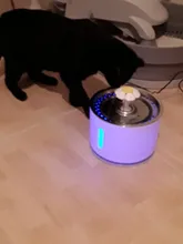 Fuente de agua para gato y perro, alimentador de agua eléctrico automático, contenedor, pantalla LED de nivel de agua para perros y gatos, bebida