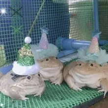 Mad-Colgante Vintage con forma de moneda para mujer, Gargantilla larga, Color dorado y plateado, joyería llamativa, regalo