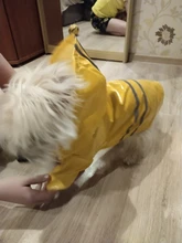 S-XL de ropa para perros chubasqueros con capucha, tira reflectante, abrigo de lluvia para perros, chaquetas impermeables, ropa transpirable para exteriores para cachorros