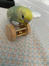 De Madera Juguetes masticables para loro con Bell por aves loros de juguete sonajero juguetes para morder de hámster