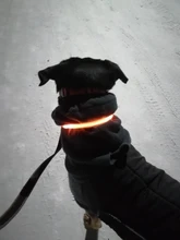 Usb-Dog-Collar Charging-Tube Pets Glowing Luminous-Safety Rechargeable Flashing LED .