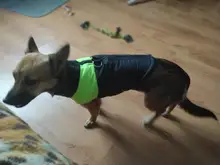 8 Size S-5XL Winter Dog Clothes For Pet Waterproof Warm Large Dog Vest Cat Puppy Dog