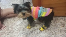 Clothing Jacket Dog Coat Puppy Pets Dogs Fleece Rabbit Small York Medium Soft New 